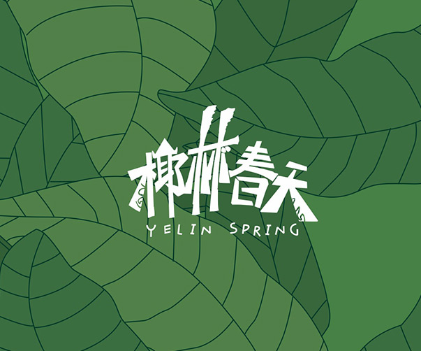 一站式解決方案_專業vi包裝設計雞蛋服務