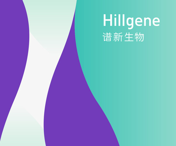 西瓜包裝設計